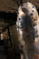 /album/art-project-bodyhouse/body-3-jpg1/